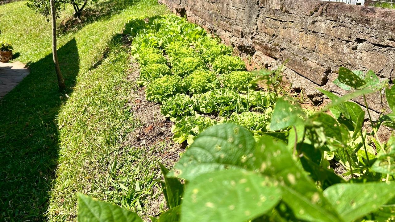 Centro Vida Acolher - Nossa Estrutura